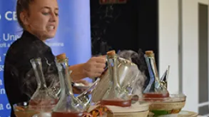 Texto alternativo aquí