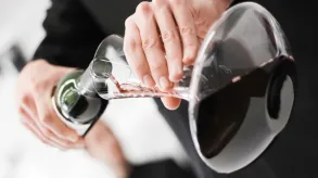 Texto alternativo aquí