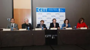 Texto alternativo aquí