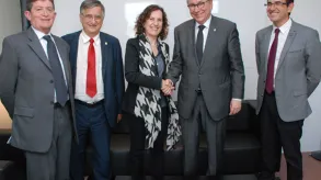 Texto alternativo aquí