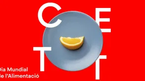 Texto alternativo aquí