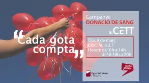 Texto alternativo aquí