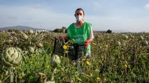 Texto alternativo aquí