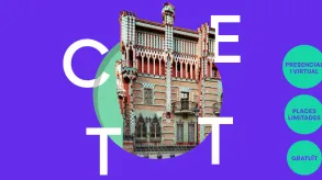 Texto alternativo aquí