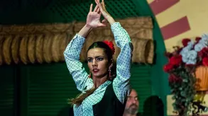 Texto alternativo aquí