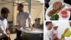 Texto alternativo aquí