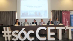 Texto alternativo aquí