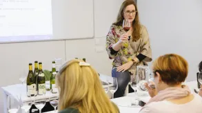 Texto alternativo aquí