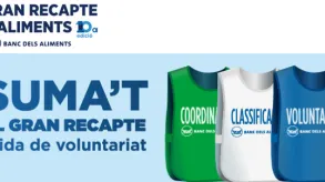 Texto alternativo aquí