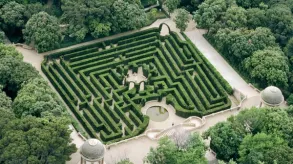 Texto alternativo aquí