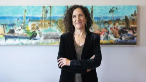 Texto alternativo aquí