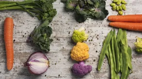 Texto alternativo aquí