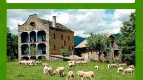 Texto alternativo aquí