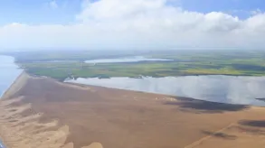 Texto alternativo aquí