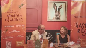 Texto alternativo aquí