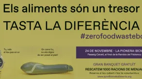 Texto alternativo aquí