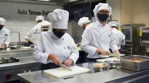 Texto alternativo aquí