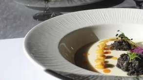 Texto alternativo aquí