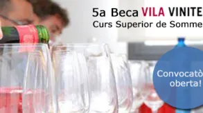 Texto alternativo aquí