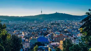 Texto alternativo aquí