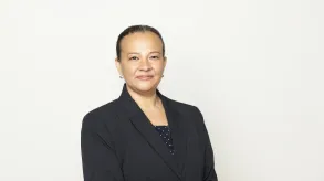 Texto alternativo aquí