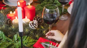 Texto alternativo aquí