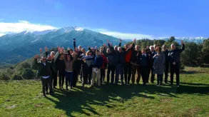 Texto alternativo aquí