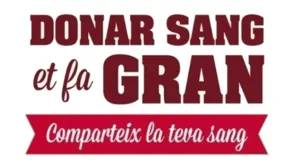 Texto alternativo aquí