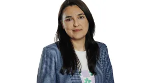 Texto alternativo aquí