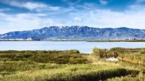 Texto alternativo aquí