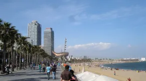 Texto alternativo aquí