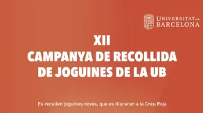 Texto alternativo aquí