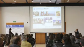 Texto alternativo aquí