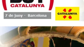 Texto alternativo aquí