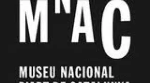 Texto alternativo aquí