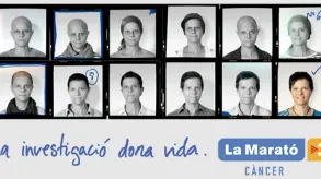 Texto alternativo aquí