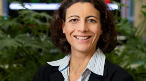 Texto alternativo aquí