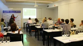 Texto alternativo aquí