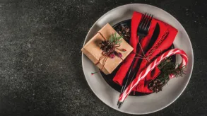 Texto alternativo aquí