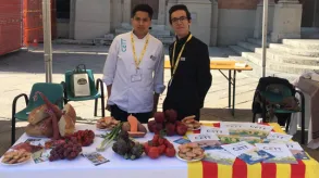 Texto alternativo aquí