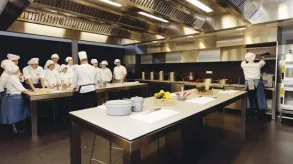 Texto alternativo aquí