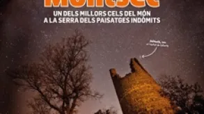 Texto alternativo aquí