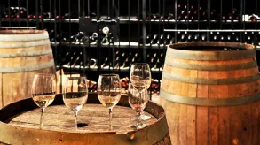 Texto alternativo aquí