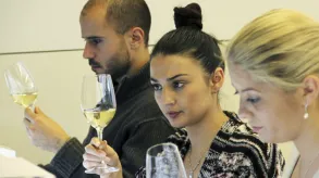 Texto alternativo aquí