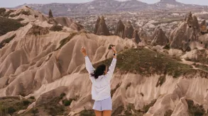 Texto alternativo aquí