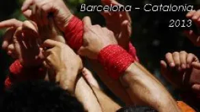 Texto alternativo aquí