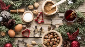 Texto alternativo aquí