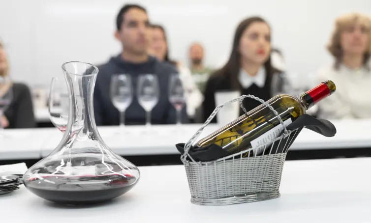 Cata de vinos
