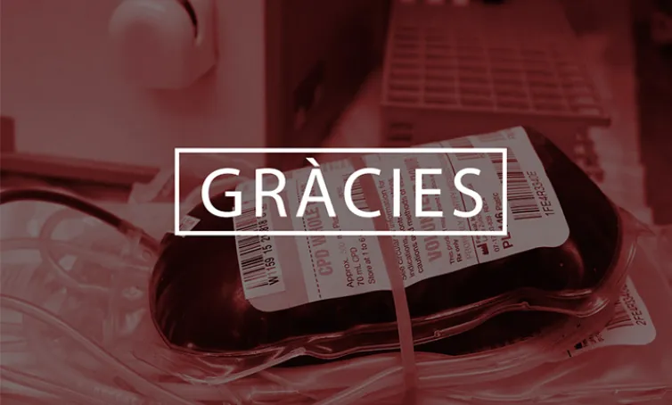 Texto alternativo aquí