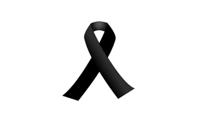 Texto alternativo aquí